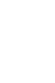 About section decorative shape